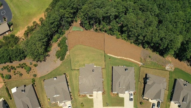 1060 Legend Dr, Greensboro, GA 30642 - aerial view of property and surrounding area