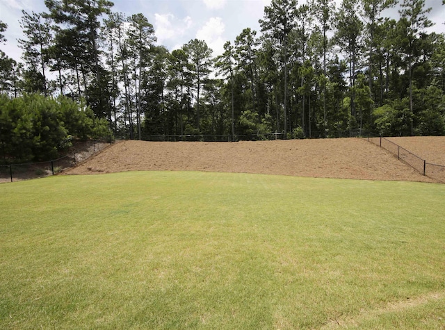 1060 Legend Dr, Greensboro, GA 30642 - view of yard