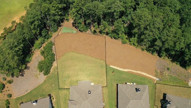 1060 Legend Dr, Greensboro, GA 30642 - bird's eye view