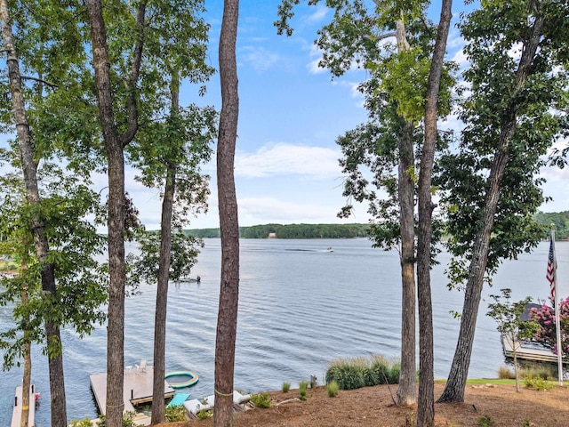 1040 S Shoals Dr, Greensboro, GA 30642 - photo 5