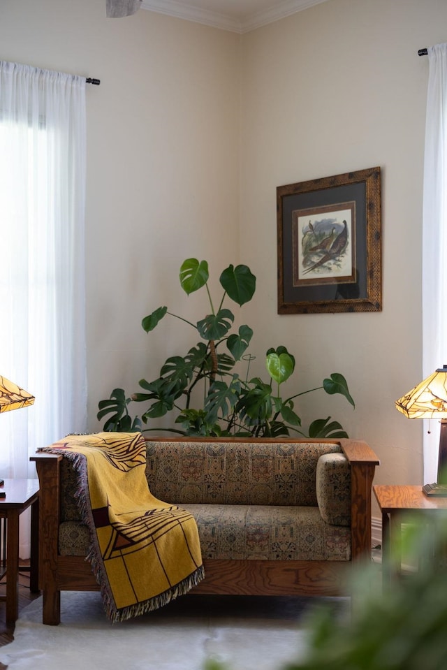 406 Madison Ave, Eatonton, GA 31024 - sitting room with crown molding
