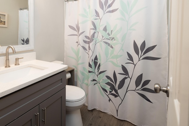 bathroom featuring vanity, wood-type flooring, and toilet