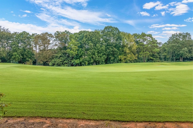 view of community with a lawn