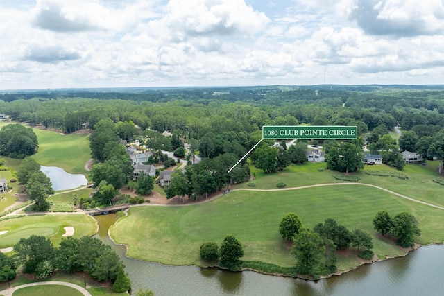 1080 Club Pointe Cir, Greensboro, GA 30642 - bird's eye view of a nearby body of water and a local golf course