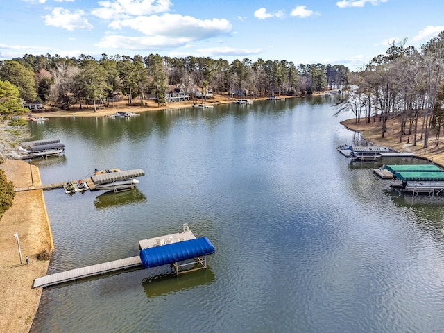 dock area with a water view