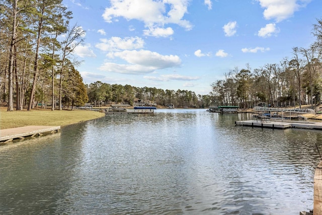 water view featuring a floating dock