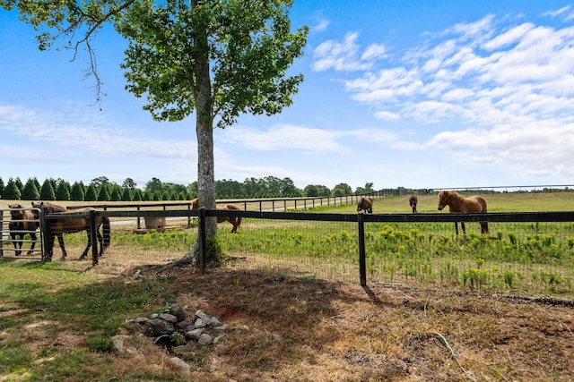 3170 Double Bridges Rd, Rutledge, GA 30663