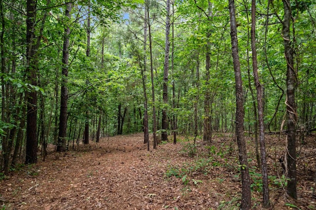 3170 Double Bridges Rd, Rutledge, GA 30663