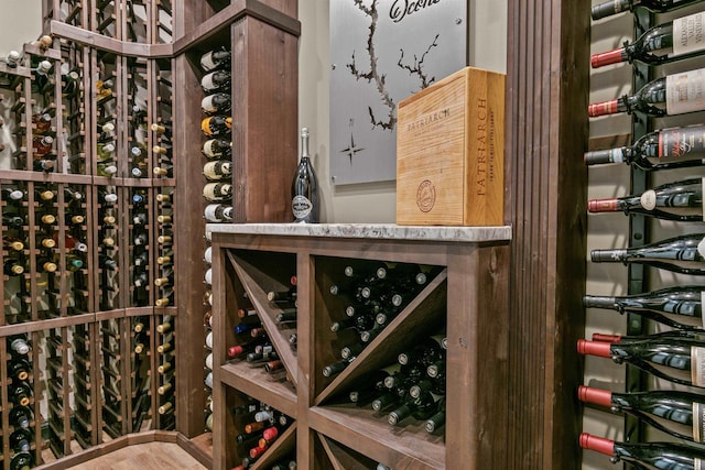 wine room featuring wood-type flooring