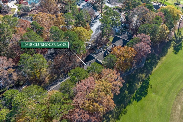 1061B Club House Ln, Greensboro, GA 30642 - birds eye view of property