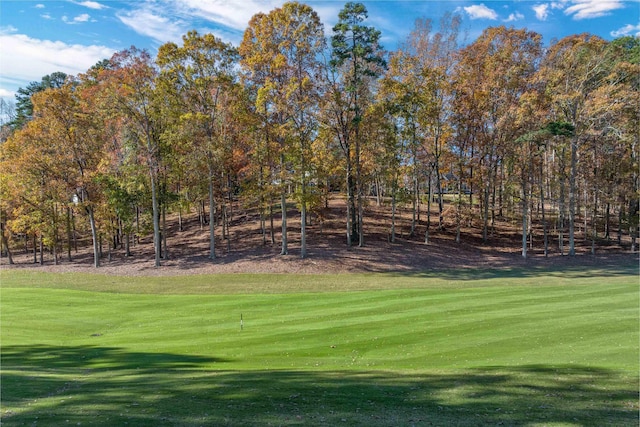1061B Club House Ln, Greensboro, GA 30642 - view of community with a yard