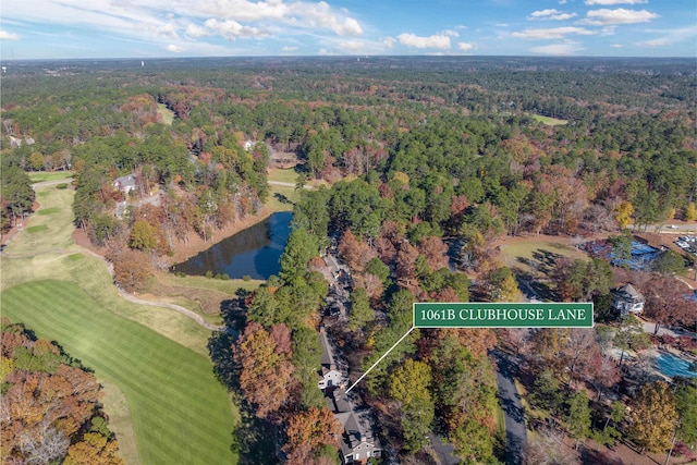 1061B Club House Ln, Greensboro, GA 30642 - drone / aerial view with a water view and a view of trees