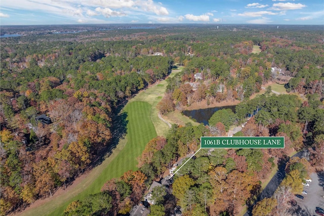 1061B Club House Ln, Greensboro, GA 30642 - birds eye view of property with a view of trees