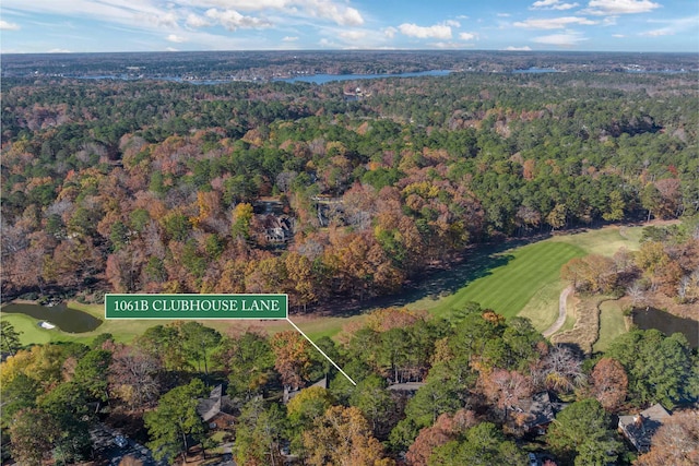 1061B Club House Ln, Greensboro, GA 30642 - aerial view with a water view and a forest view