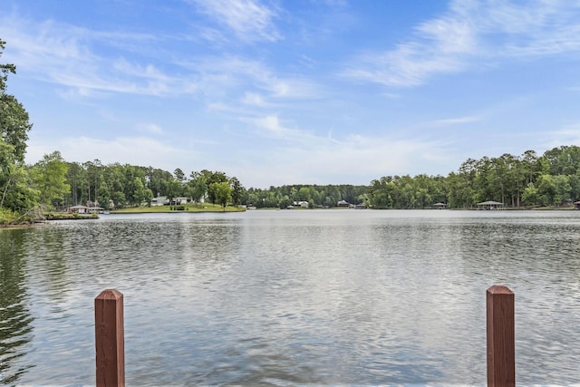 815 Morning Glory Dr, Sparta, GA 31087 - photo 54