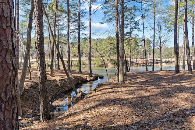 view of yard featuring a water view