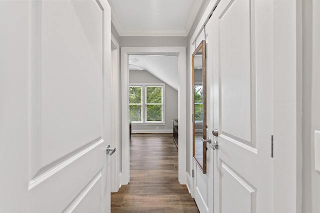 1010F Tailwater, Greensboro, GA 30642 - corridor featuring ornamental molding, vaulted ceiling, and dark wood-style floors