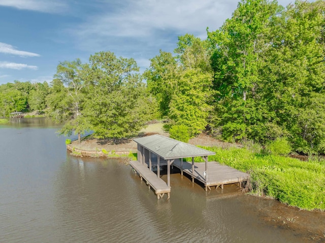 dock area with a water view