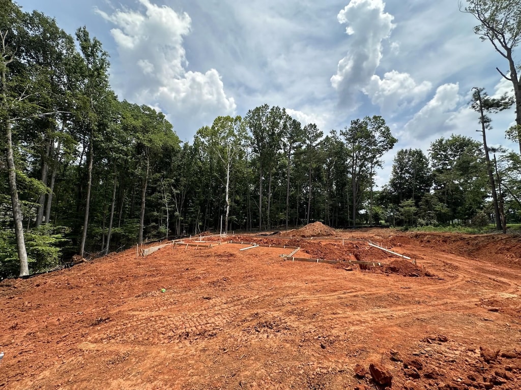 1390 Oconee Hts, Greensboro, GA 30642 - view of nature