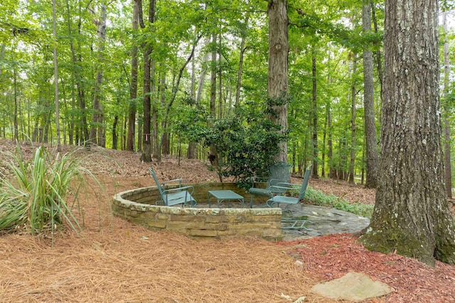 1020 Tallesse Trl, Greensboro, GA 30642 - view of yard featuring a patio area and a forest view
