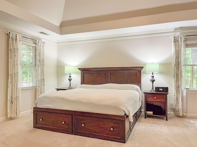 1020 Tallesse Trl, Greensboro, GA 30642 - bedroom with light carpet, multiple windows, baseboards, ornamental molding, and vaulted ceiling