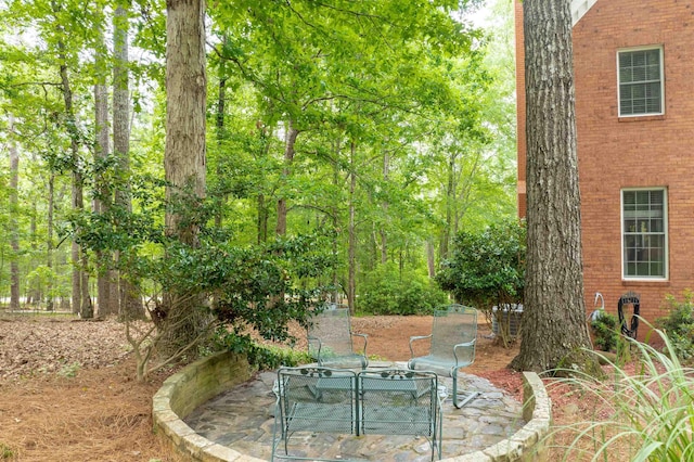 1020 Tallesse Trl, Greensboro, GA 30642 - view of yard with a patio