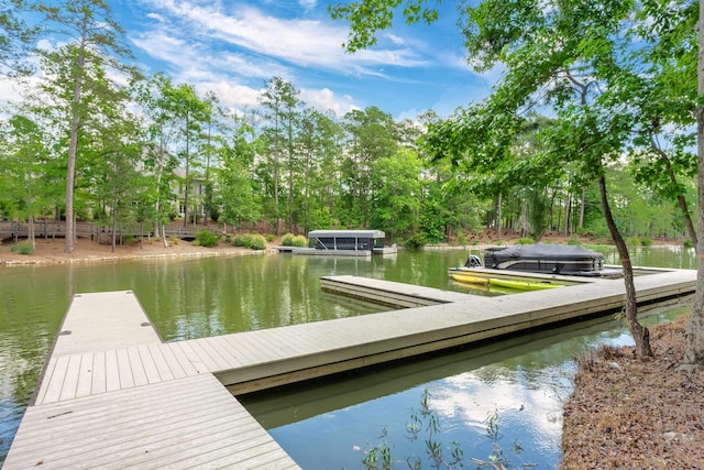 1100 Neary Rdg, Greensboro, GA 30642 - view of dock featuring a water view