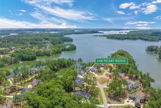 1100 Neary Rdg, Greensboro, GA 30642 - birds eye view of property with a forest view, a water view, and a residential view