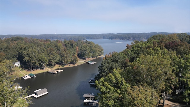 0 Martin Oaks Blvd, Eatonton, GA 31024 - photo 9