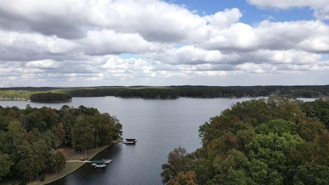 0 Martin Oaks Blvd, Eatonton, GA 31024 - photo 14