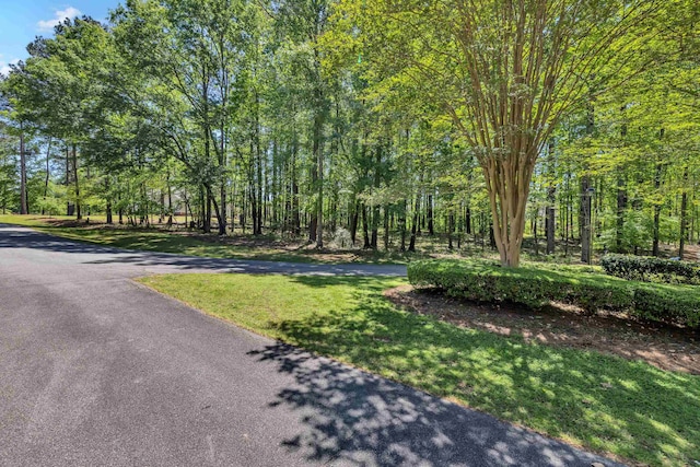 1010 Troon Ct, Greensboro, GA 30642 - view of green lawn