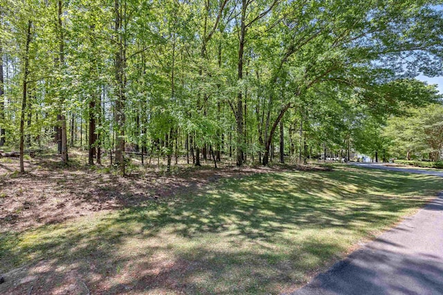 1010 Troon Ct, Greensboro, GA 30642 - view of yard featuring a forest view