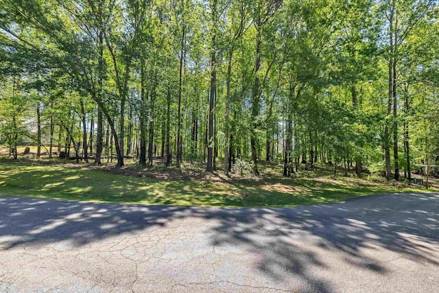 1010 Troon Ct, Greensboro, GA 30642 - view of street