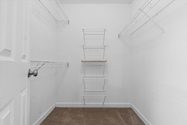 1120 Rawlings Dr, Rutledge, GA 30663 - walk in closet with carpet flooring