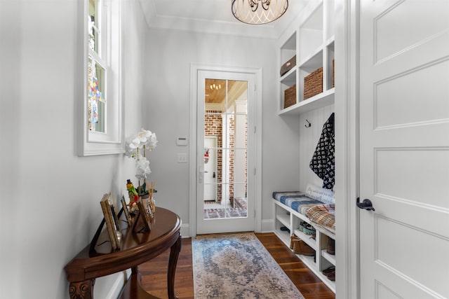 mudroom featuring ornamental molding and dark wood-type flooring