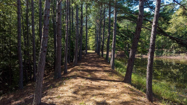 view of landscape