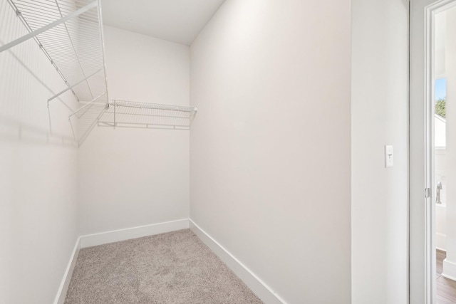 spacious closet with carpet flooring