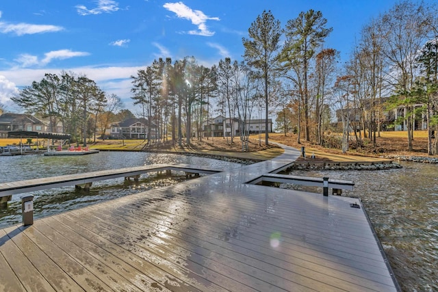 dock area with a water view