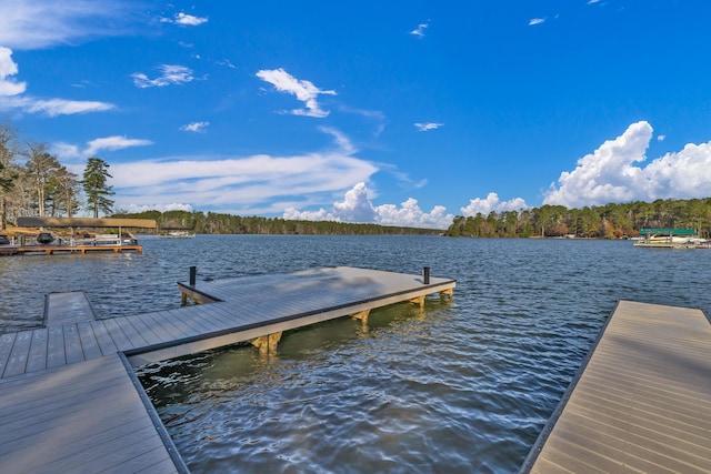 dock area featuring a water view