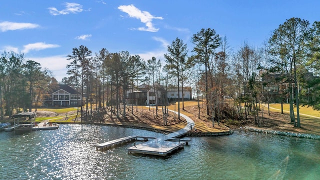 dock area with a water view