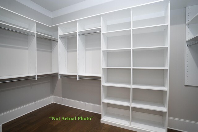 walk in closet featuring dark wood-style floors