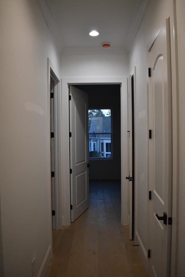 corridor featuring ornamental molding and light wood-type flooring