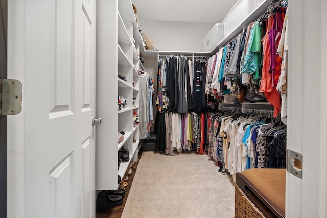 1011 Cartwright Ln, Greensboro, GA 30642 - view of spacious closet