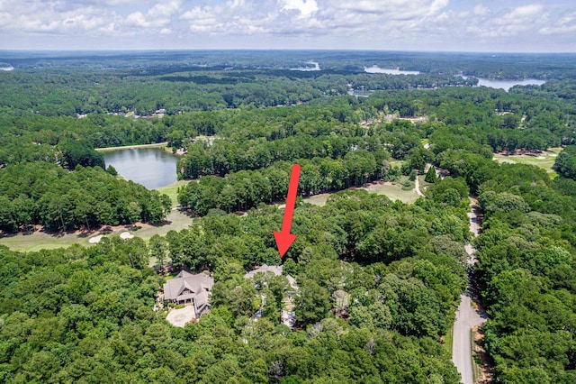 1011 Cartwright Ln, Greensboro, GA 30642 - drone / aerial view of a heavily wooded area and a nearby body of water