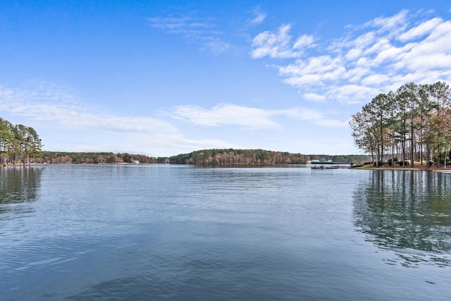 1031 Fish Trap Shls, Greensboro, GA 30642 - water view