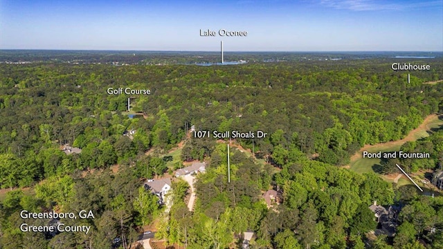 1071 Scull Shoals Dr, Greensboro, GA 30642