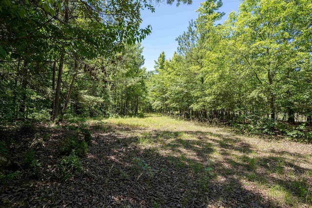 LOT36 Marshall Rd, Buckhead, GA 30625 - photo 7