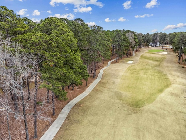 1991 Club Dr, Greensboro, GA 30642 - photo 70