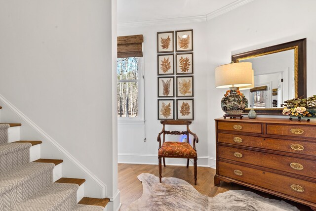 sitting room featuring light hardwood / wood-style flooring and ornamental molding