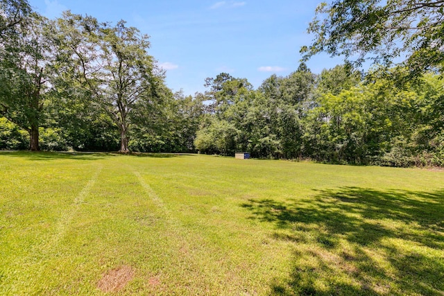 1221 Parsonage Rd, Madison, GA 30650 - photo 5